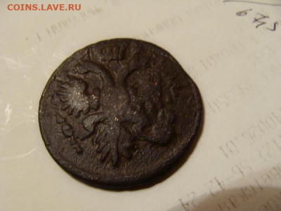 деньга 1731. розетка внизу - DSC02844.JPG