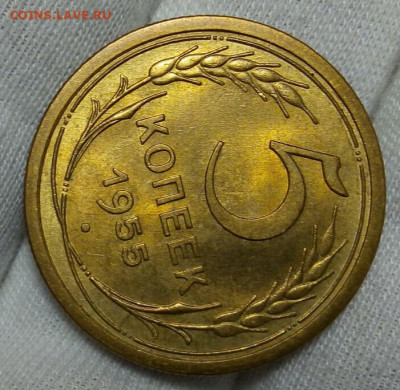 5 КОПЕЕК 1955г штемпельный UNC с 200 до 15.11.20 - IMG_20201113_081321