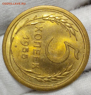 5 КОПЕЕК 1955г штемпельный UNC с 200 до 15.11.20 - IMG_20201113_134216