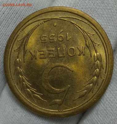 5 КОПЕЕК 1955г штемпельный UNC с 200 до 15.11.20 - IMG_20201113_134232