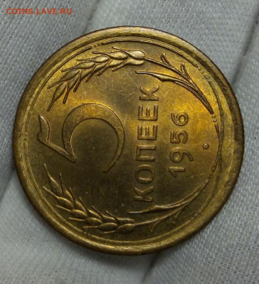 5 КОПЕЕК 1956г яркий мешковой UNC с 200 до 15.11.20 - IMG_20201113_081831
