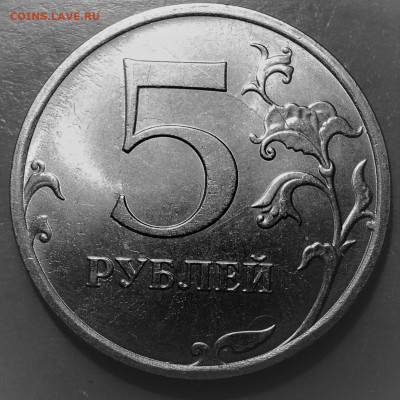 оцените расколы - DSC02300.JPG