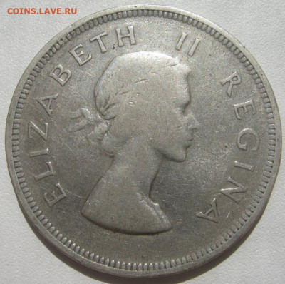 Южная Африка 2,5 шиллинга 1955 до 20.11.2020 - IMG_7520_1.JPG