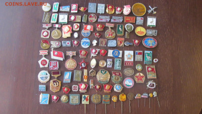 Оценка значки солянка 101 шт - IMG_6533[1].JPG