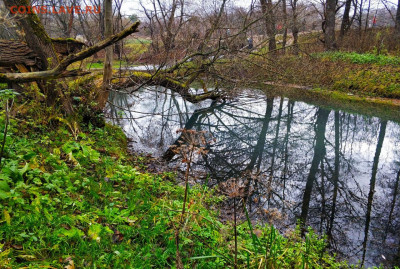ФОТО - просто фото. Те что получились удачными. - IMG-20201115-WA0007