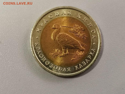Красная книга: 10р 1992г. Краснозобая казарка, до 22.11 - СЧ Казарка мешк-1