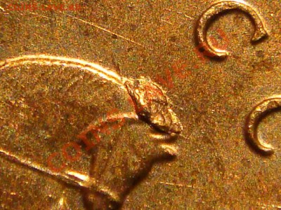 10 коп 2008 м выкрошка БОЛЬШАЯ ГРИВА до 21-00 30.09 - DSC09494.JPG
