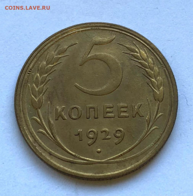 5 коп 1929г Остатки блеска до 19.11.2020 - IMG_5063.JPG