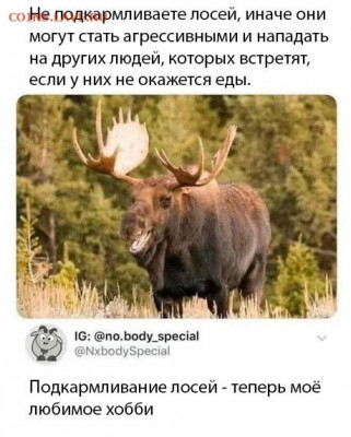 юмор - M_DMukcM2Q0