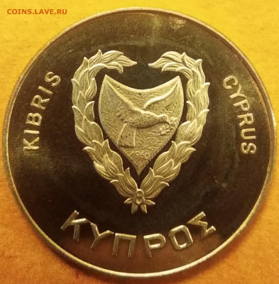 500 милс Кипр, ФАО, 1981 г. UNC до 19.11.20 22:00мск - IMG_20201117_200441