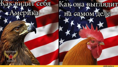 Про Беларусь - я-ватник-разное-США-СШП-1196617