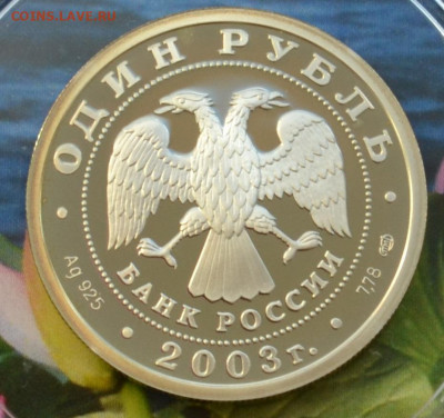 1 рубль 300 лет Санкт Петербургу 6 монет - DSC_0333.JPG