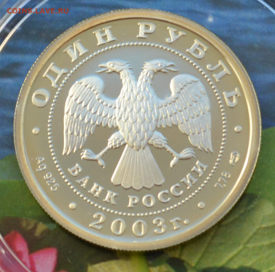 1 рубль 300 лет Санкт Петербургу 6 монет - DSC_0294.JPG