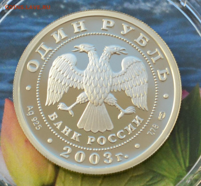 1 рубль 300 лет Санкт Петербургу 6 монет - DSC_0313.JPG