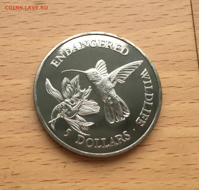 КПД Крона Шайба Острова Кука 5$ долларов 1991 Колибри пчелка - IMG_7690.JPG