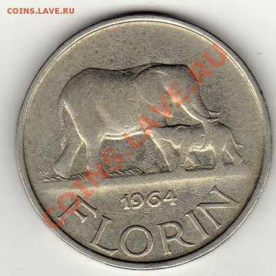 Малави флорин 1964 Слоны до 29.09.11 в 22.00мск (503) - img962