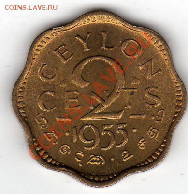 Цейлон 2 цента 1955 до 29.09.11 в 22.00мск (506) - img990