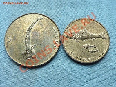 СЛОВЕНИЯ 1 и 5 толар КОЗЁЛ и РЫБКИ до 1.10.11 в 22-00 - MEMO0060.JPG