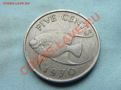 БЕРМУДА 5с 1970г.  РЫБКА до 1.10.11 в 22-00 - MEMO0071.JPG