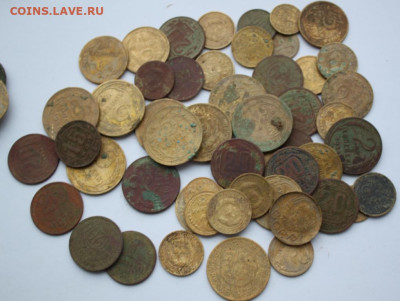 Советы ранние  50 шт.до 25.11.20 по 21.00 мск - IMG_7766.JPG