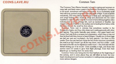 Птицы мира Барбадос 10 центов 1980 Крачка до 29.09.11 22ч - img044
