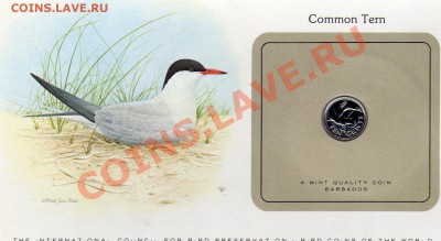 Птицы мира Барбадос 10 центов 1980 Крачка до 29.09.11 22ч - img045