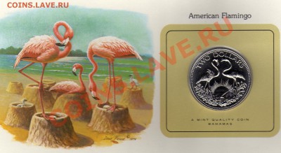 Птицы мира Багамы 2$ 1979 Фламинго до 29.09.11 22 - img059