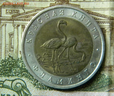 50 руб.1994г КК Фламинго.до 25.11.20г - DSCN6175.JPG 33