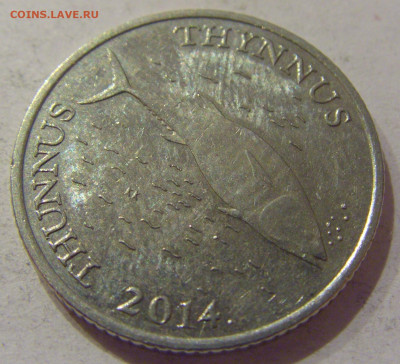 2 куны 2014 Хорватия №1 27.11.2020 22:00 МСК - CIMG3729.JPG