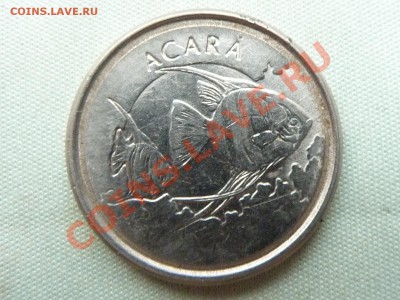 БРАЗИЛИЯ 1000 крузейро  1993г.  РЫБКИ до 1.10.11 в 22-00 - MEMO0062.JPG