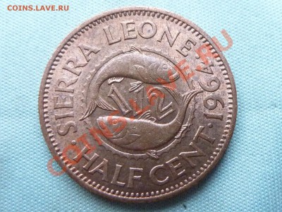 2с  1964г.  РЫБКИ до 1.10.11 в 22-00 - MEMO0064.JPG