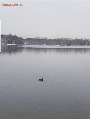 ФОТО - просто фото. Те что получились удачными. - Screenshot_20201122-165155_Gallery
