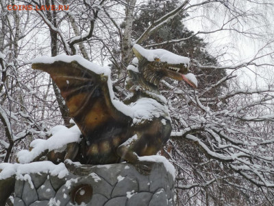 ФОТО - просто фото. Те что получились удачными. - IMG-20201123-WA0008