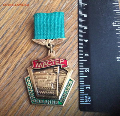 Знак Мастер формирования вагонов. Лмд - IMG_2868.JPG