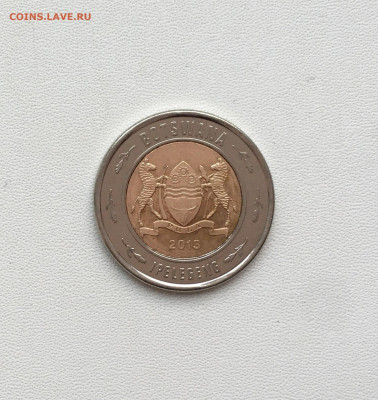 биметалл Ботсвана 2 пулы 2013 Носорог фауна животные - IMG_8530.JPG