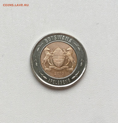 биметалл Ботсвана 2 пулы 2013 Носорог фауна животные - IMG_8532.JPG