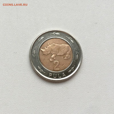 биметалл Ботсвана 2 пулы 2013 Носорог фауна животные - IMG_8536.JPG