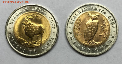 5 р Винторогий козел и Рыбный филин AU до 21.30 МСК 26.11 - IMG_2420