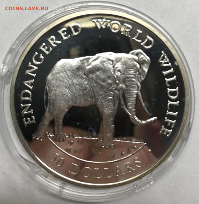 Острова Кука 50 долларов 1990 Слон до 21.30. МСК 26.11 - IMG_2477