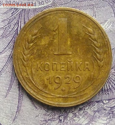 1 копейка 1929 года 27.11.2020 - IMG_20201123_143053