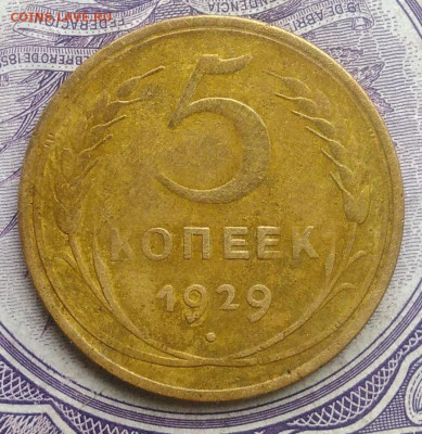 5 копеек 1929 года 27.11.2020 - IMG_20201123_142914
