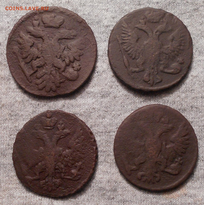 деньга 1737, 1747, 1748, 1751 год - DSCN3544.JPG