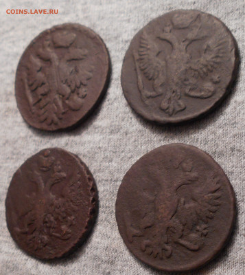 деньга 1737, 1747, 1748, 1751 год - DSCN3545.JPG