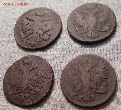 деньга 1737, 1747, 1748, 1751 год - DSCN3546.JPG