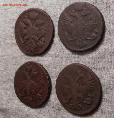 деньга 1737, 1747, 1748, 1751 год - DSCN3547.JPG