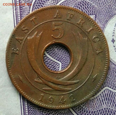 Восточная Британская африка 5 центов 1942 года 27.11.2020 - IMG_20201101_153550