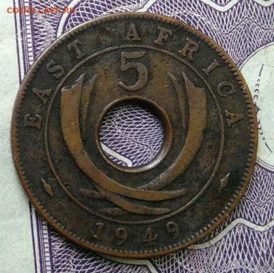 Восточная Британская африка 5 центов 1949 года 27.11.2020 - IMG_20201101_153630
