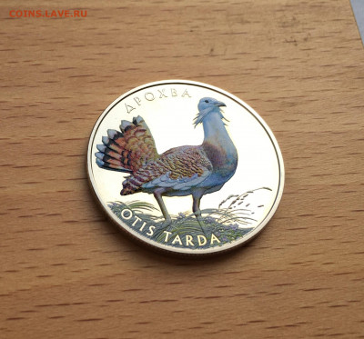 Украина 2 гривны 2013 Флора и фауна Дрофа животные птицы - IMG_8077.JPG