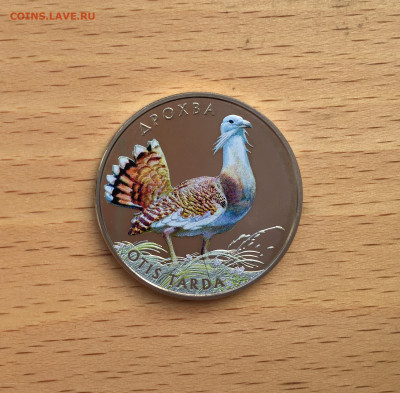 Украина 2 гривны 2013 Флора и фауна Дрофа животные птицы - IMG_8072.JPG