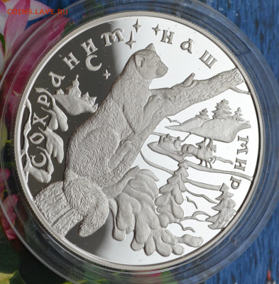 25 рублей Соболь - DSC_0142.JPG